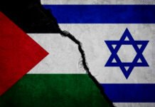 The U.S. 20-Point Peace Initiative: Building Gaza’s Future Through an International Stabilization Force Palestinian health crisis deepens amid Israeli genocidal war, siege, and financial strangulation, warns government