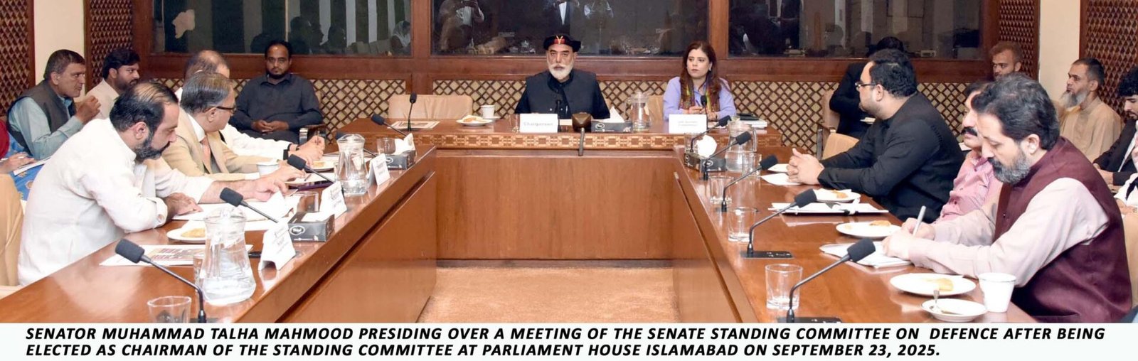 Senator Talha Mahmood Elected Chairman of Senate Standing Committee on Defence