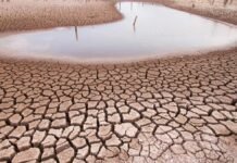 Severe Water Shortage in Balochistan, Only 7% of Land Under Cultivation ADB Report