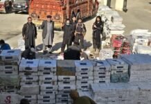 Customs Enforcement Peshawar Seizes Rs50 Million Smuggled Goods in Major Operation